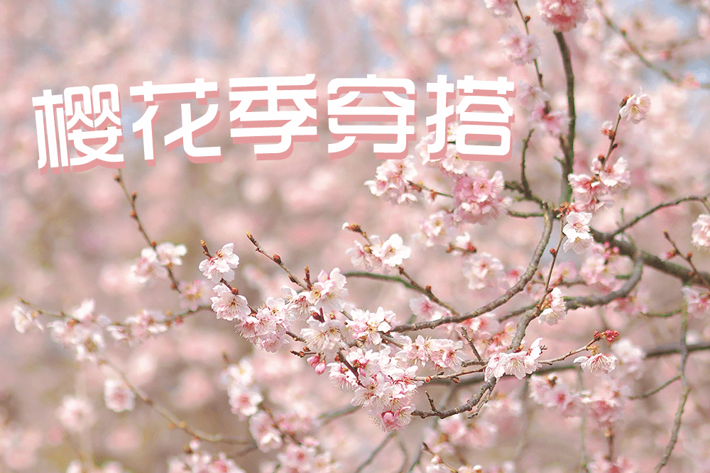bmw11222服装教你樱花季穿搭，美翻朋友圈！