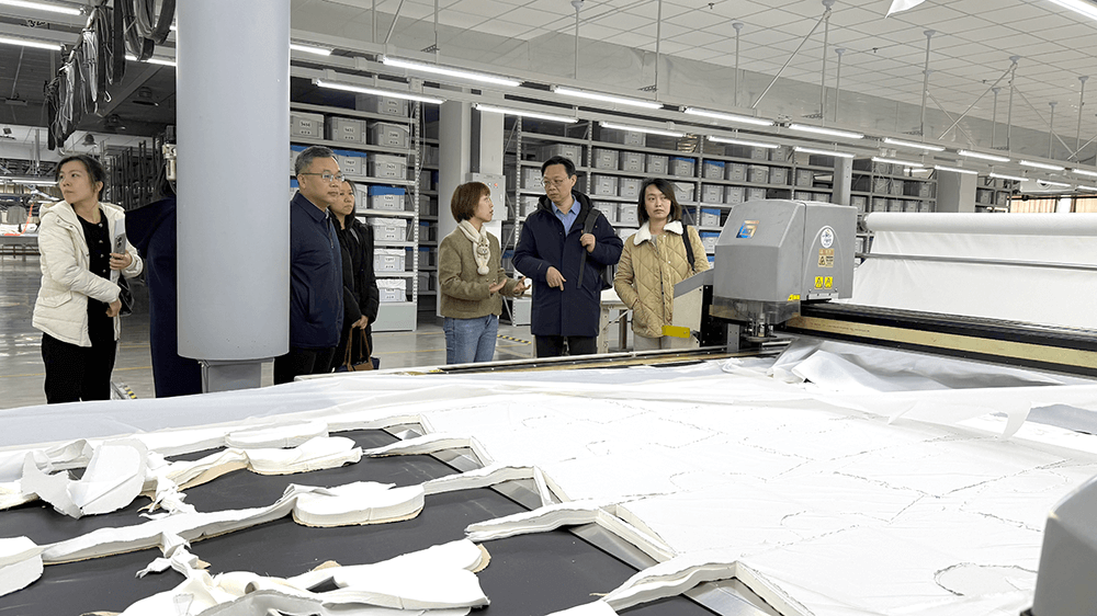 港地合作促发展：bmw11222服装智能化实践获关注